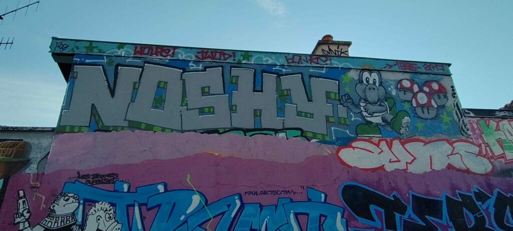 Dijon Graffiti Subkultur Hommage au graffeur Noshy qui est mort en 2017 à l'âge de 25 ans. Les fresques aux décédés font part de la culture urbaine et notamment la subculture du Graffiti