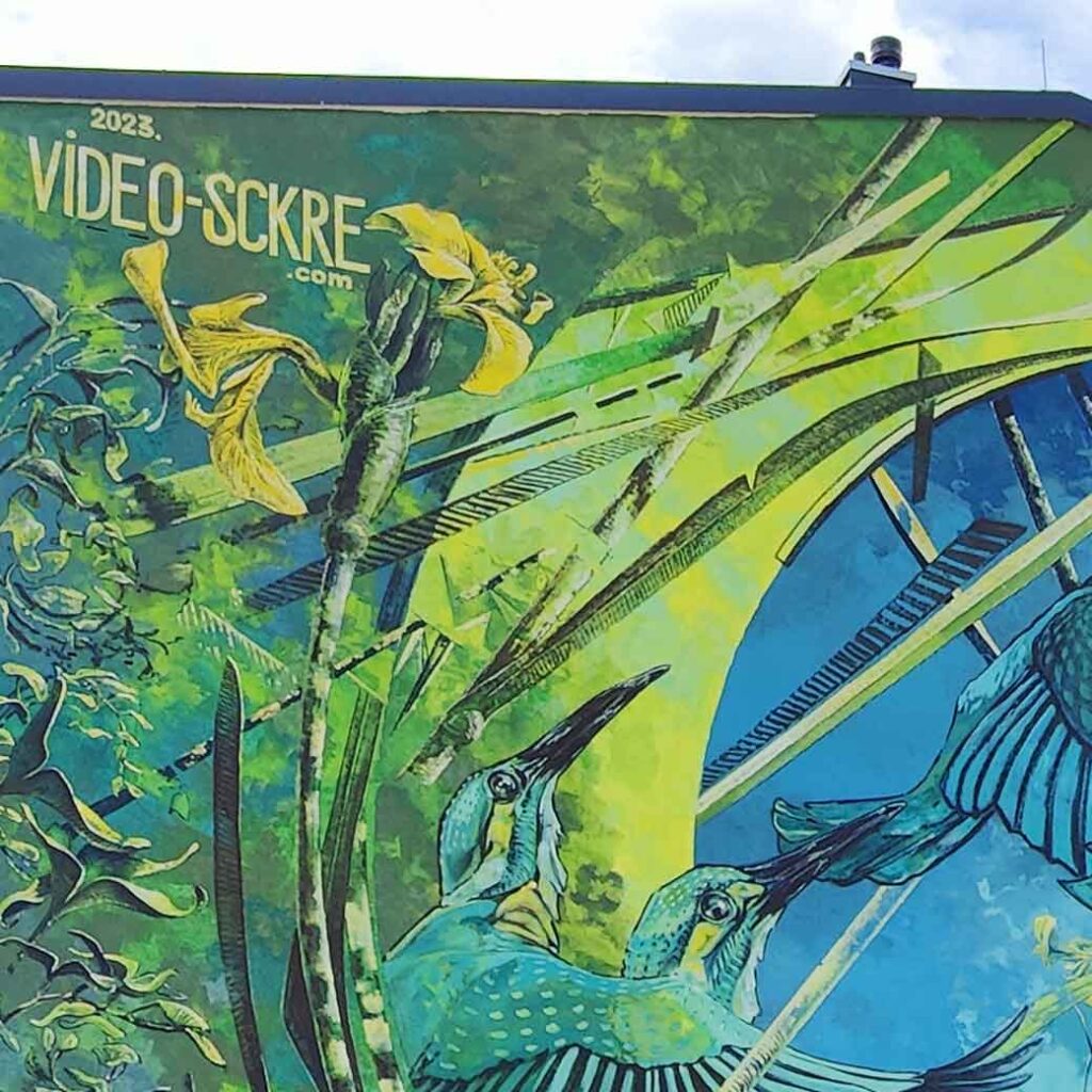 Detail des Streetart Werkes von VIDEO.SCKRE in Landsberg Papierbach, Künstlersignatur des Duos. zwei weiteren Vögelköpfe sind am unteren Bildrand zu sehen